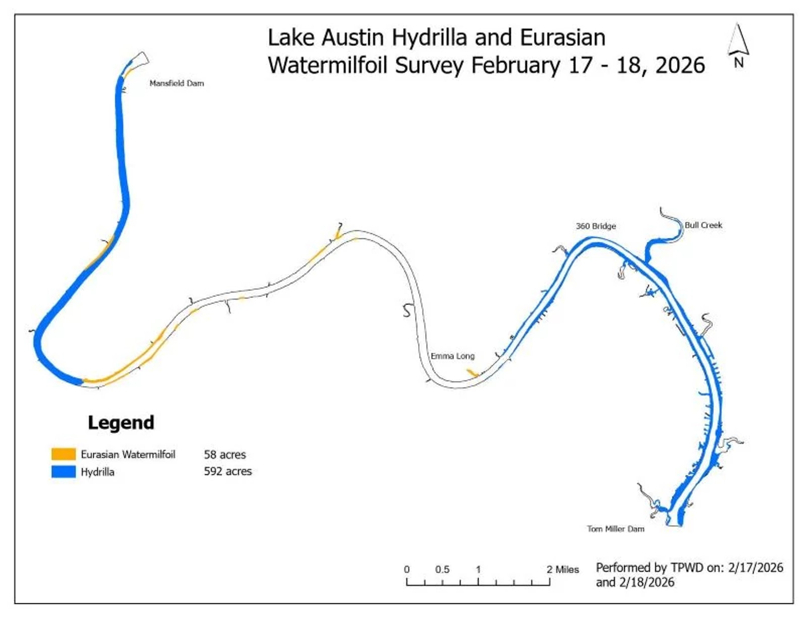Lake Austin Hydrilla and Eurasian Watermilfoil Survey February 2026 map