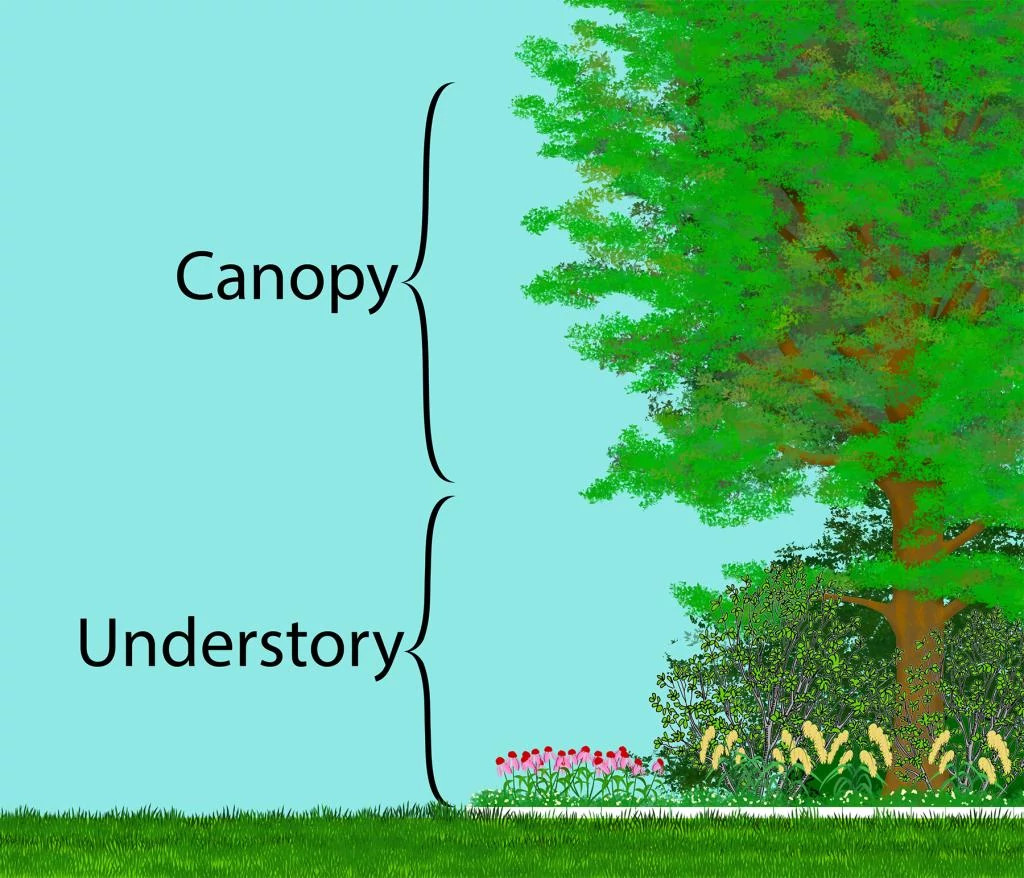 landscape layers 3x2.jpg