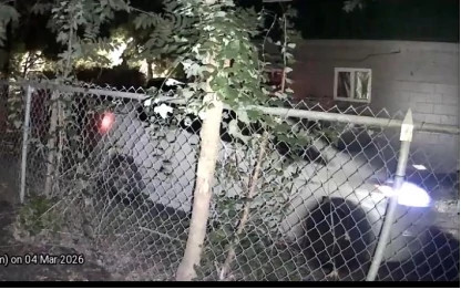 Vehicle---26-0480058