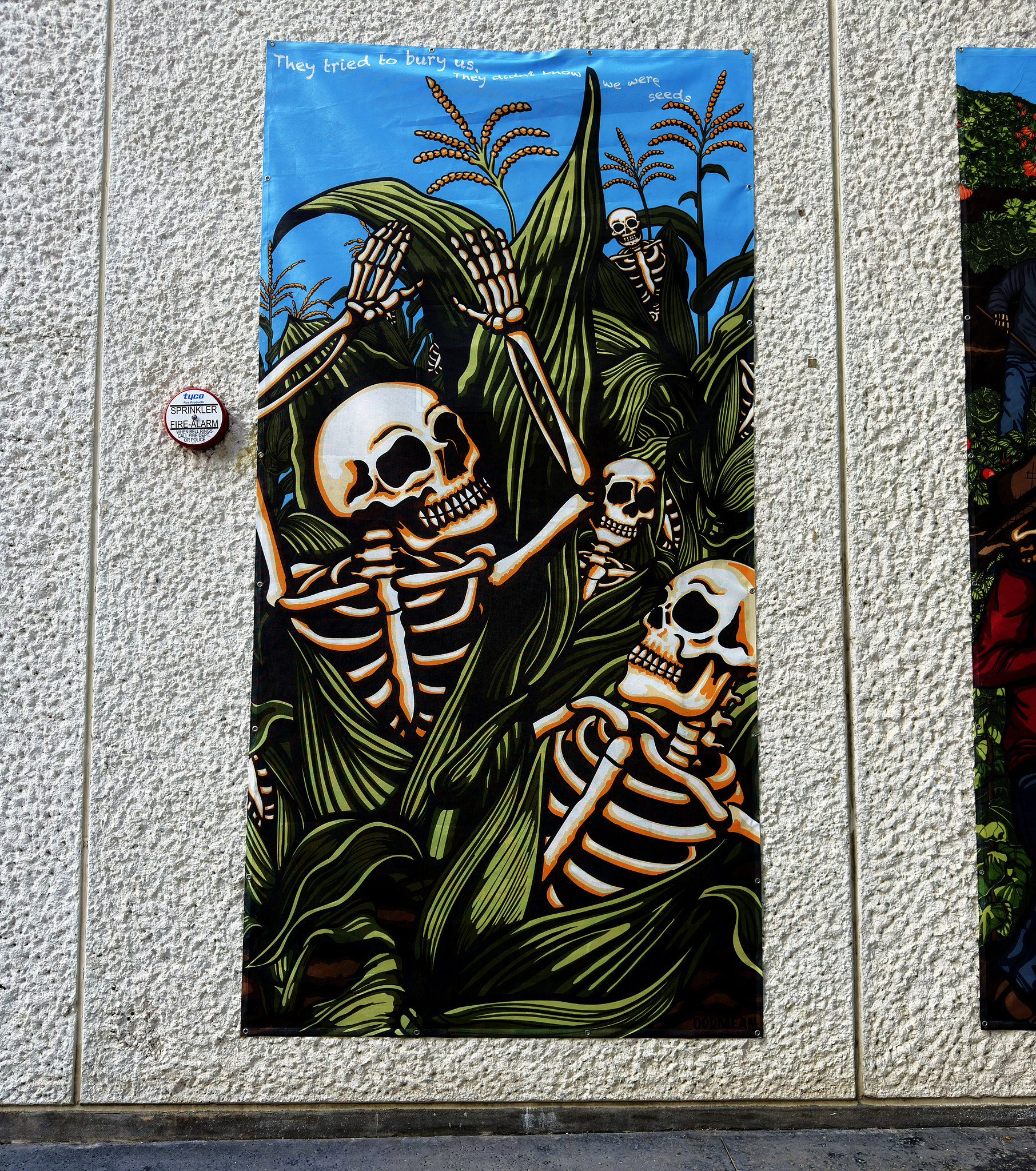 ESB MACC Armin Alaniz Mural Stylized Skeleton Panel