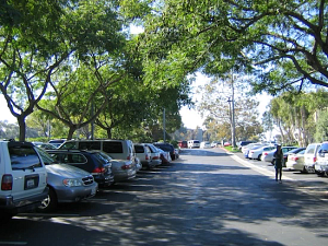 A parking lot shaded from the sun by mature trees and their canopy cover.