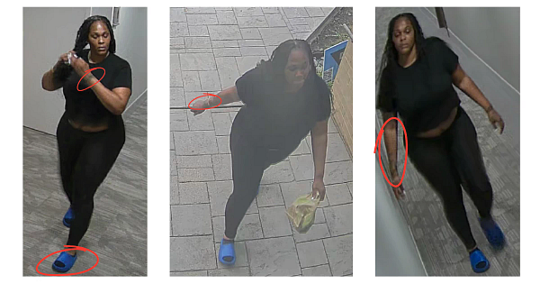 Picture of suspect