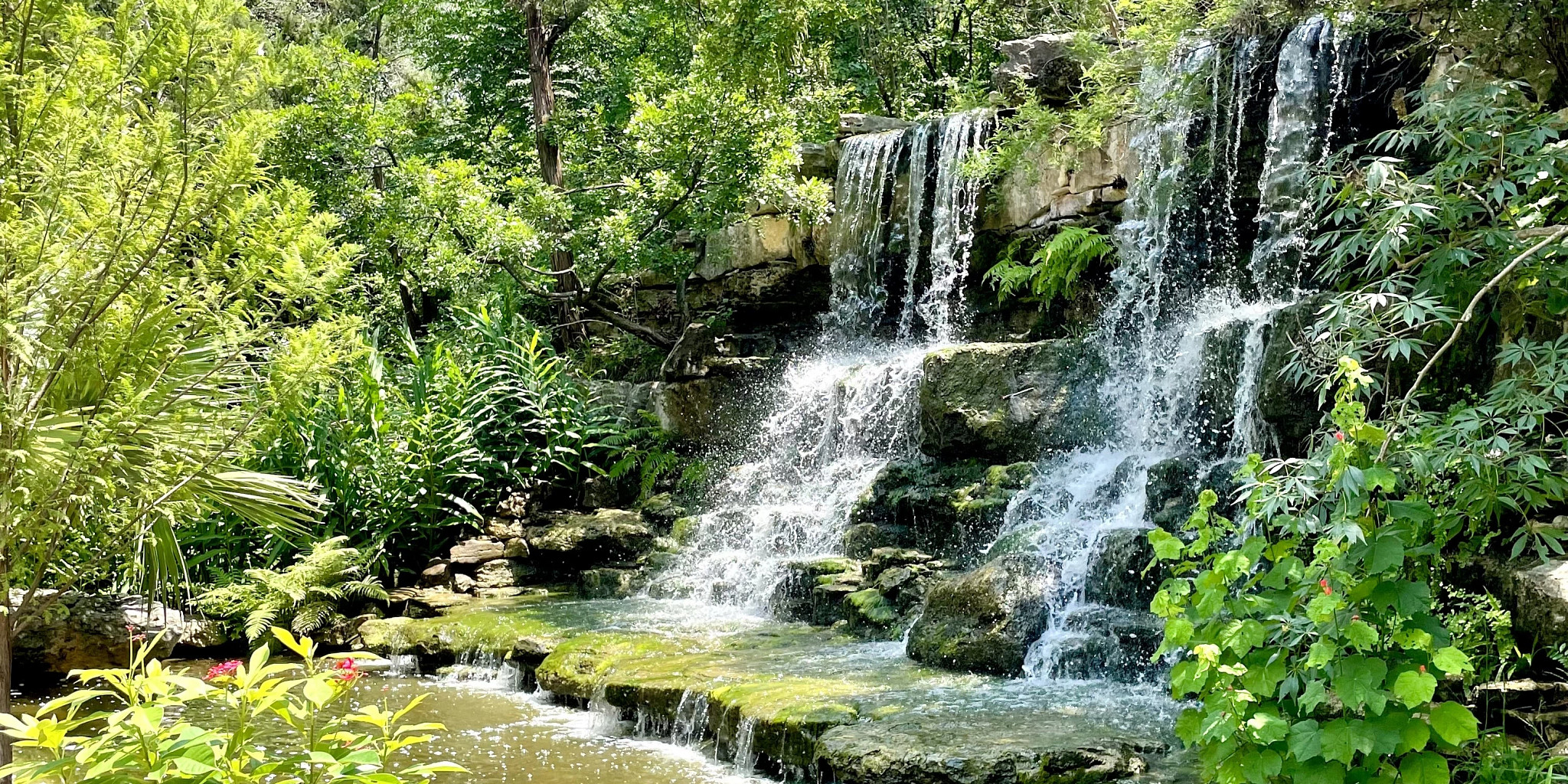 Zilker Botanical Garden