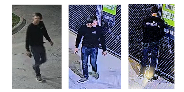 Pictures of suspect