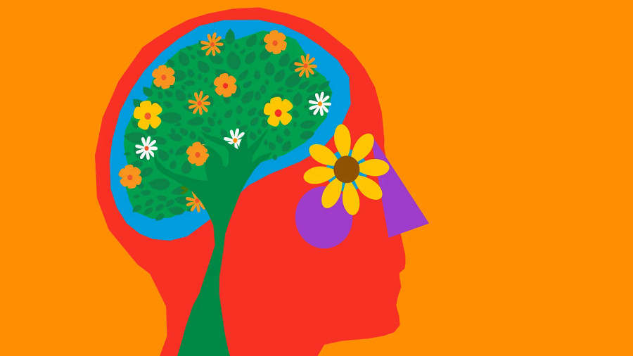 colorful head with a nature tree