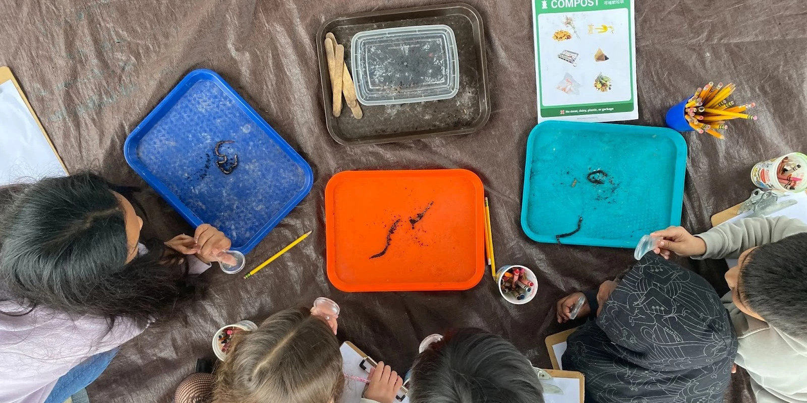 Kids gather around several trays with worms, soil, and other information. The photo is taken from above.