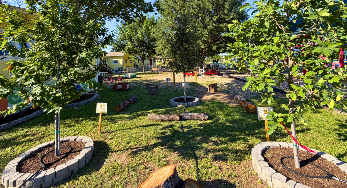 A view of the new outdoor classroom, with freshly planted trees and educational signs.