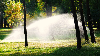 Sprinkler spraying water