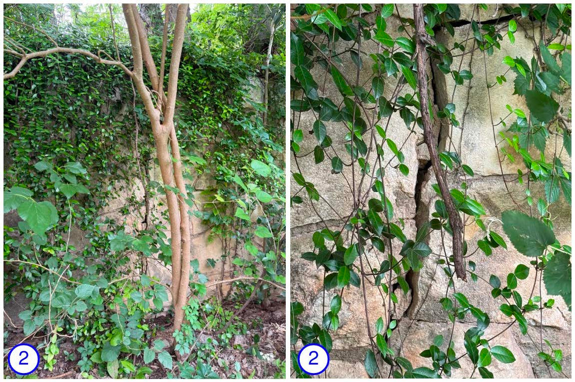 Photos of one of the areas where degradation is most pronounced