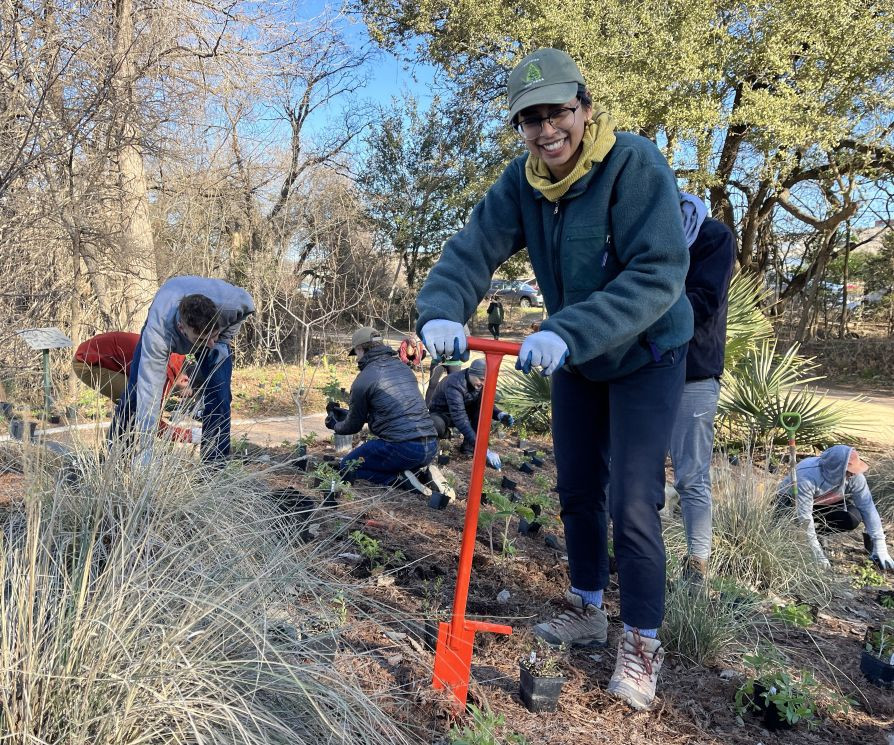 Volunteers planting native plants in a rain garden