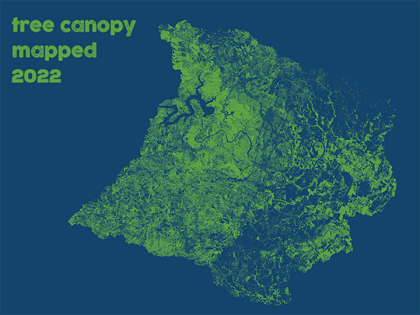 2022 tree canopy map image small