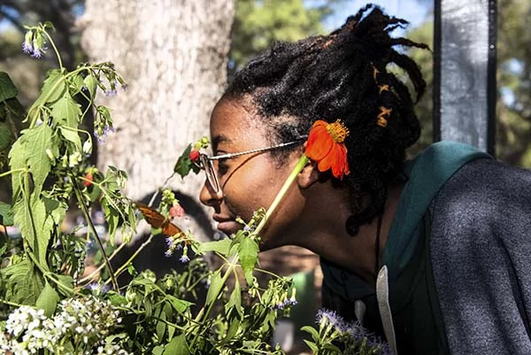 RootsWings-2019-_28 4 inches at 150.jpg