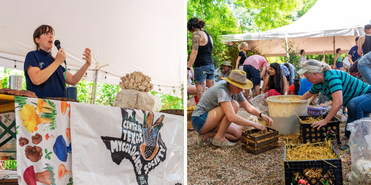 Left, Angel stands on a stage speaking with a microphone. A mushroom and a banner for CTMS sit on a table in front of her. Right, volunteers sort hay and soil into containers.
