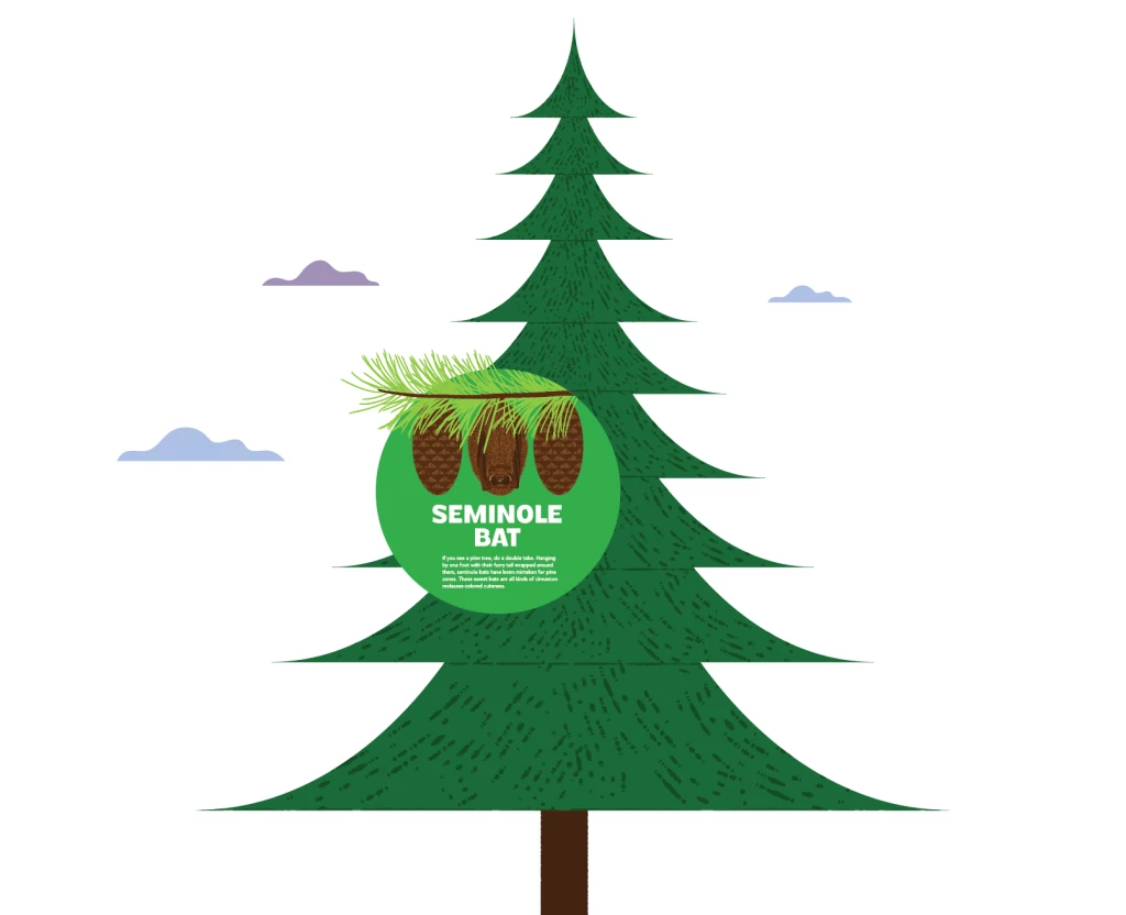 Seminole-Bat.png