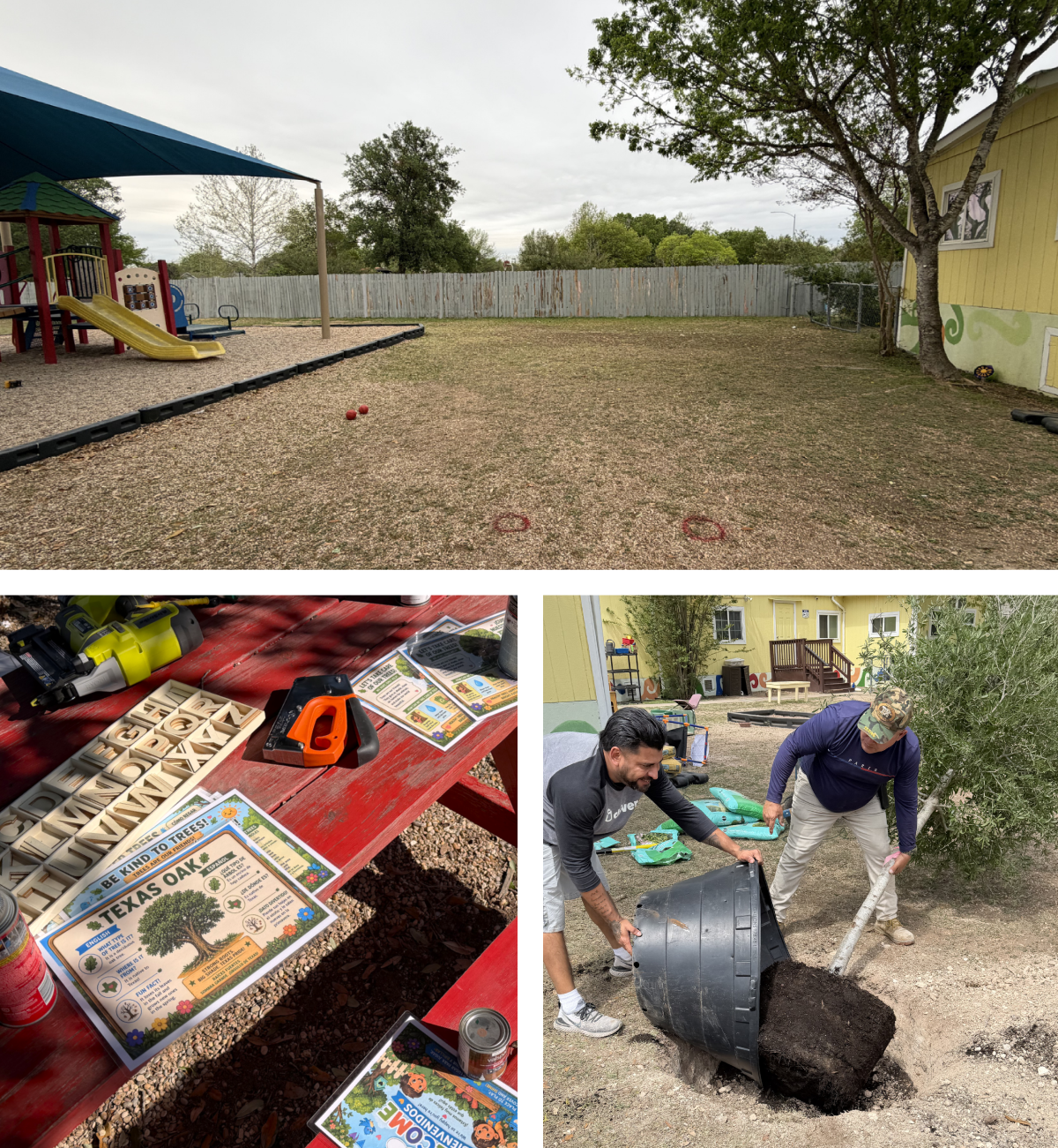 Top, a bare area of a playground. Bottom left, signage is arranged on a picnic table. Bottom right, two people plant a tree in a large hole in Angel Care and Learning Center's playground.