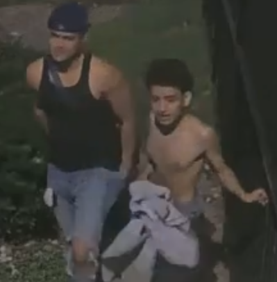 Picture of suspects