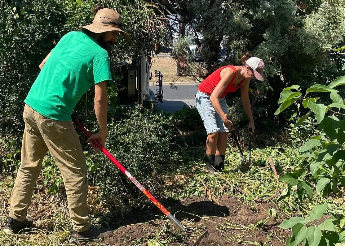 FestivalBeachFoodForestvolunteers landscape.jpg