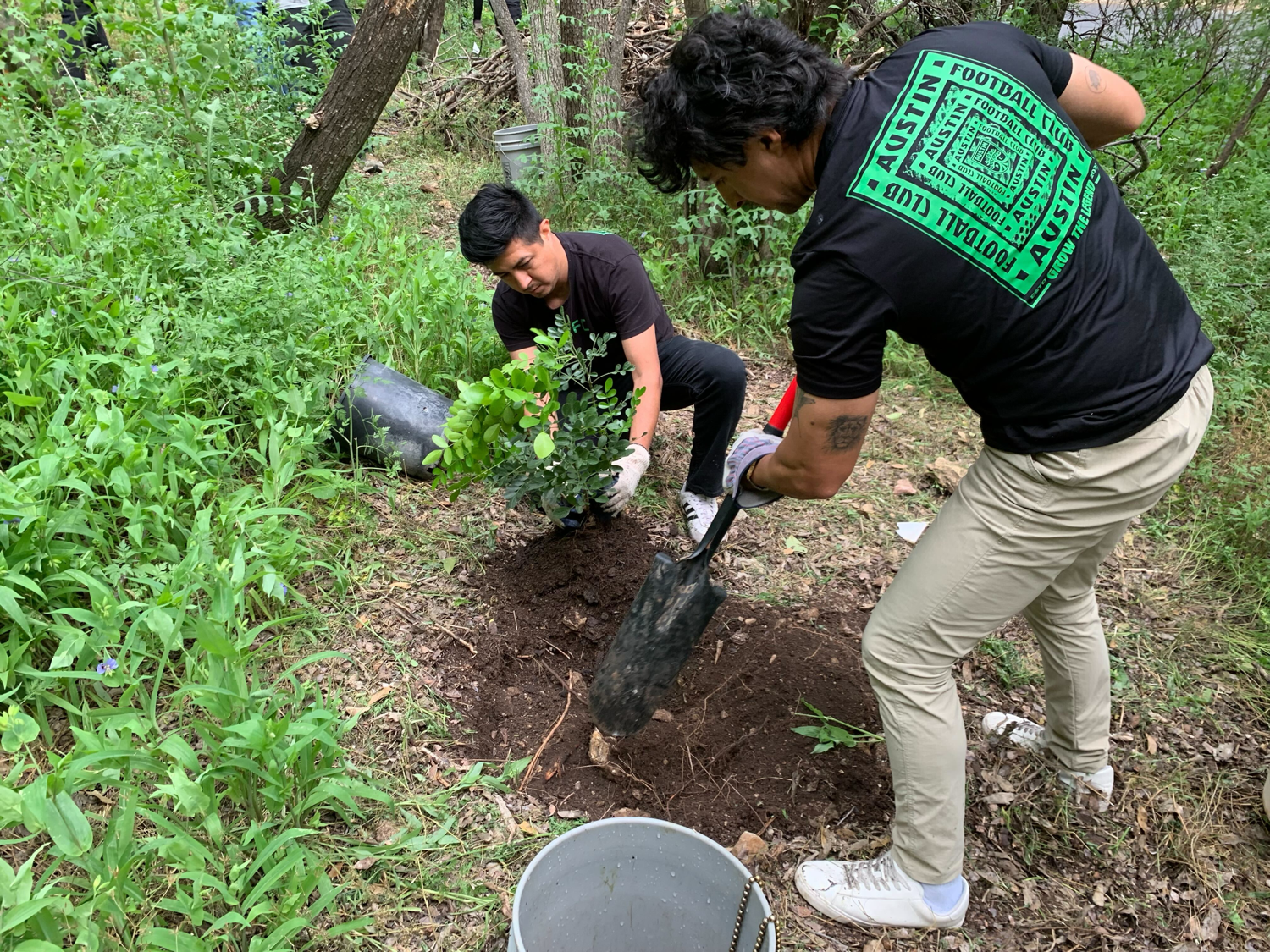 Volunteers plant saplings and spread seeds in Windsor Hillside. Removing invasive species and establishing new native plants gradually transforms the area without destabilizing the steep hill. Photos courtesy of Pease Park Conservancy. 