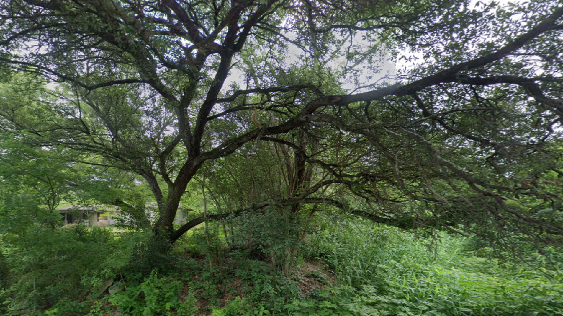 Oak Acres Creek 