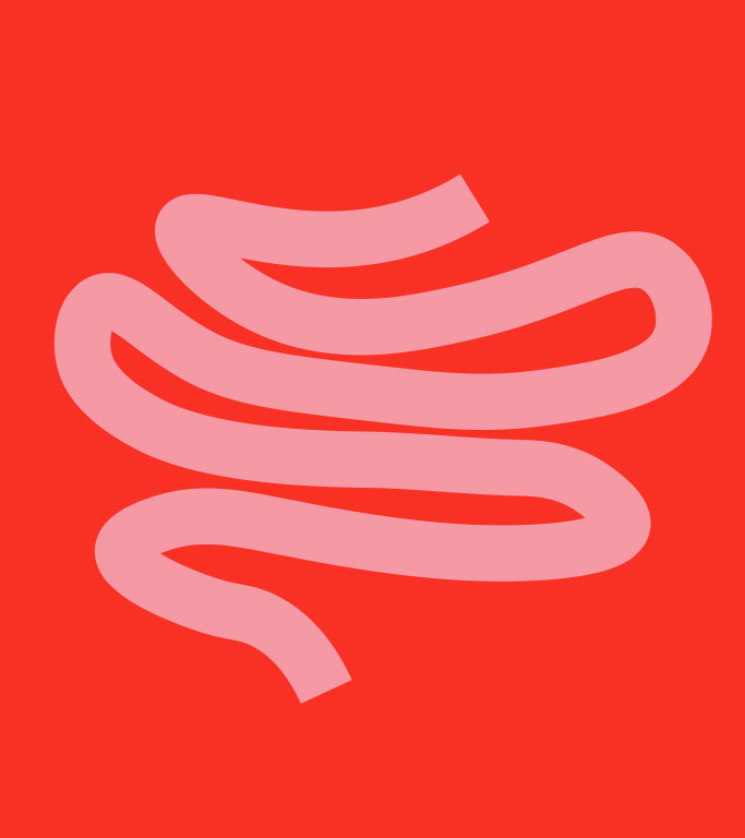Intestines on red background