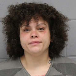 Suspect Ashley Wilson