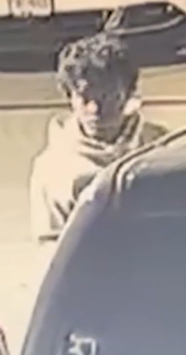 catalytic converter suspect 1 photo