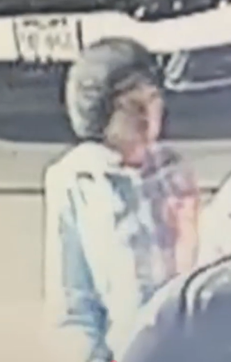 catalytic converter suspect photo 2