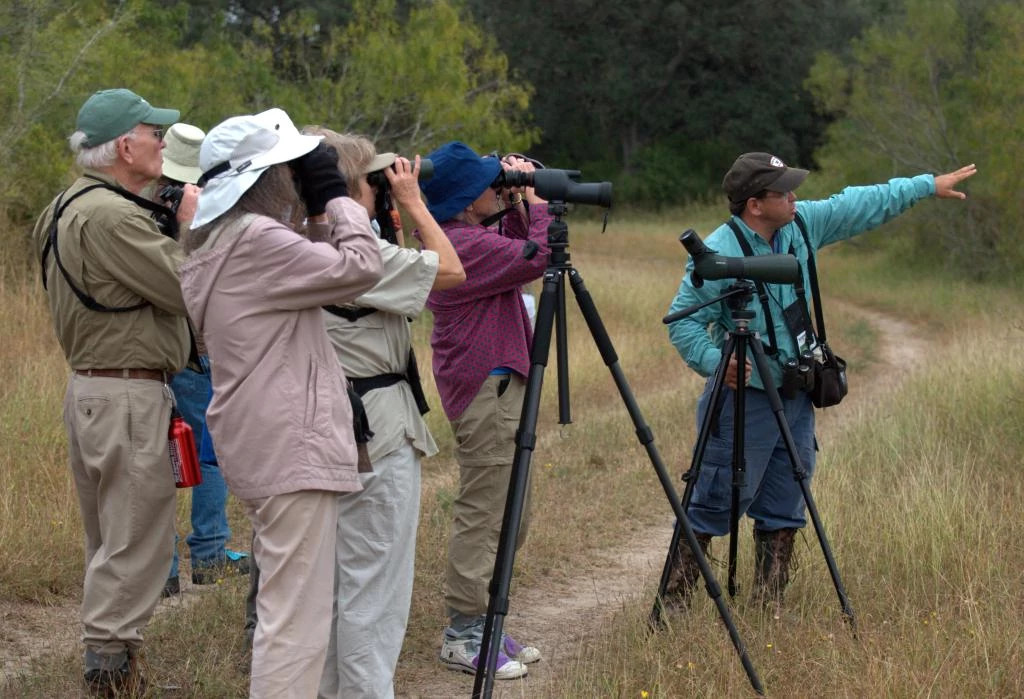 Birding Festival