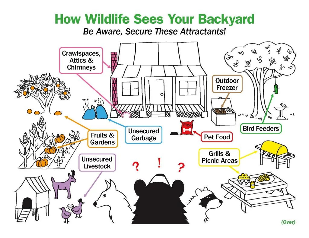 how-wildlife-sees-your-backyard_Page_1