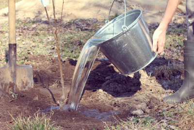 Bucket pouring water
