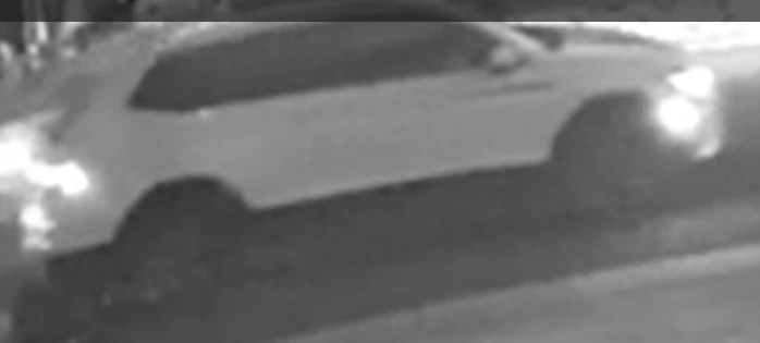 25-3141278-suspect-v