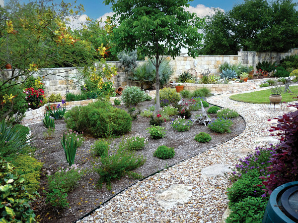 A backyard garden designed with WaterWise landscaping guidelines, including native plants and rock features.