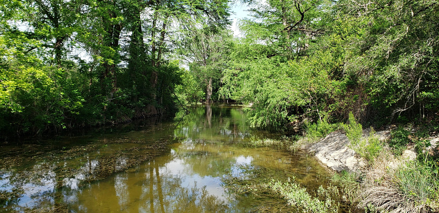 Onion Creek Park Too