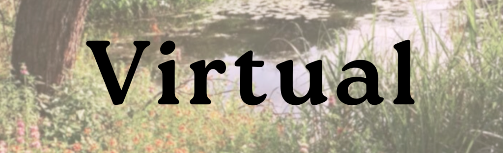 2024 virtual banner.png