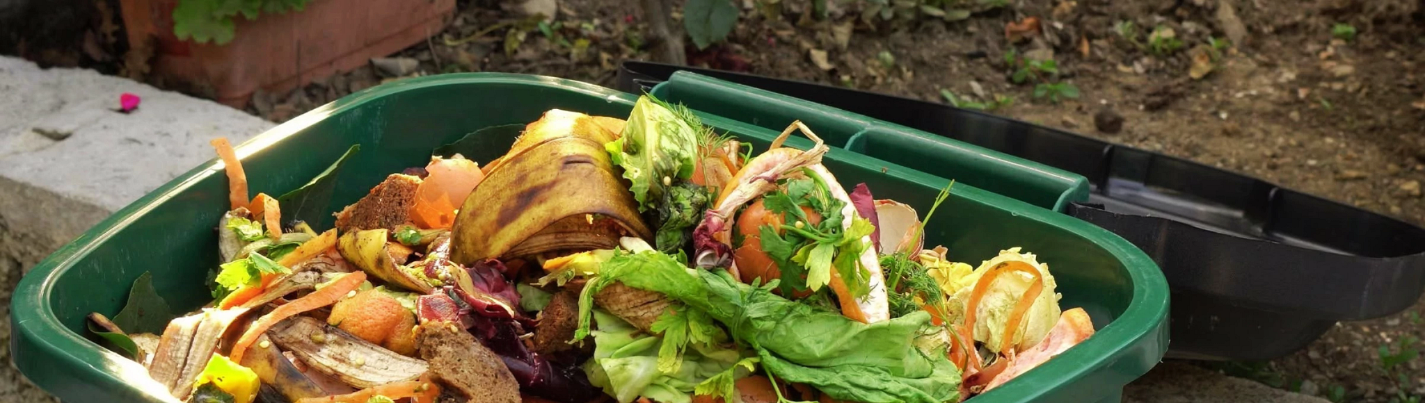 An open curbside composting bin filled with food scraps.
