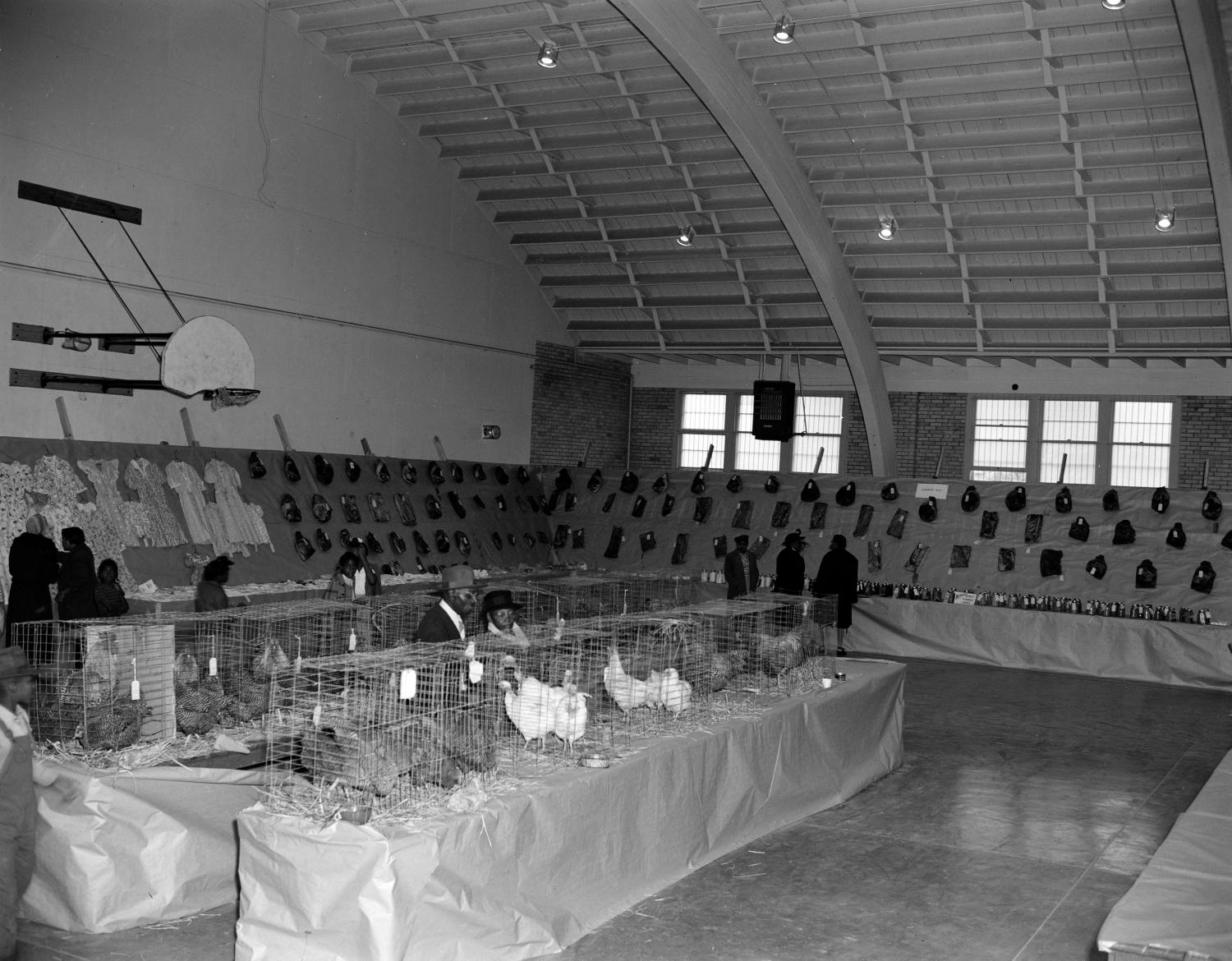 Poultry and Livestock Show