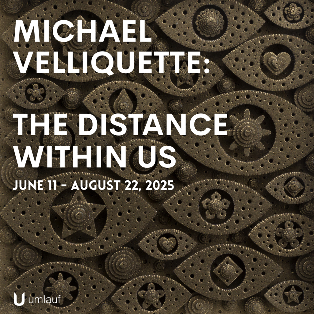 Michael-Velliquette-Exhibition