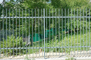 Metal fence with spiked pickets