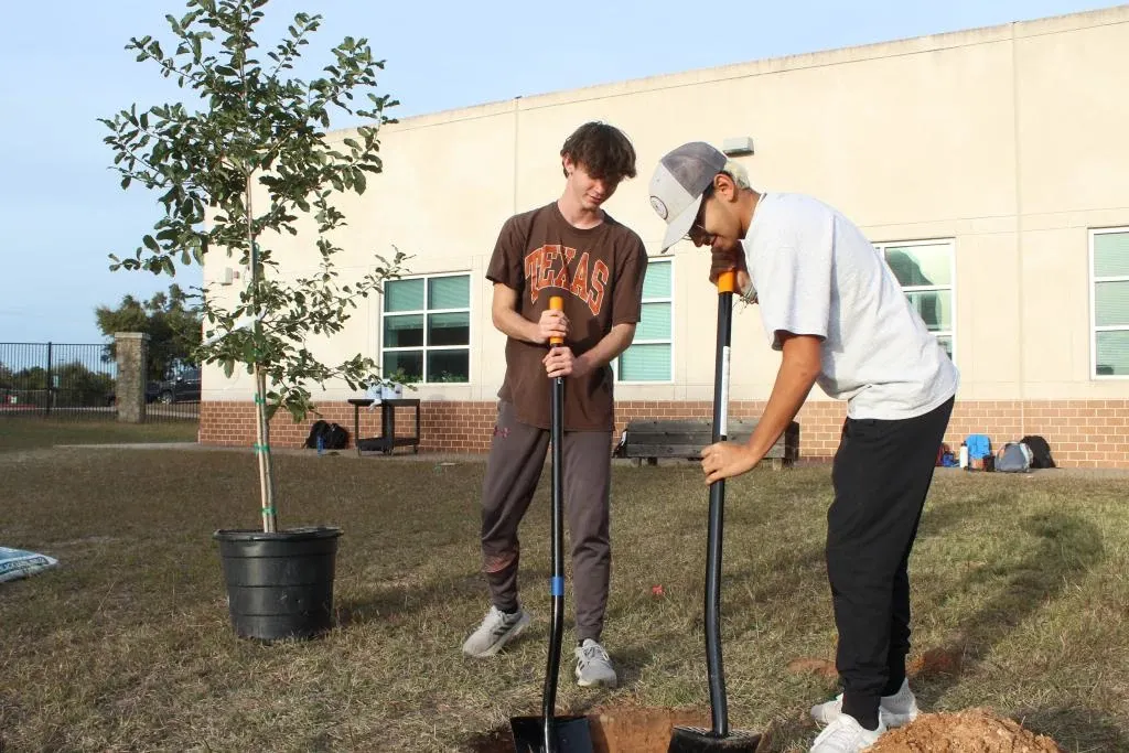 Two students plant a tree at Vandegrift High.