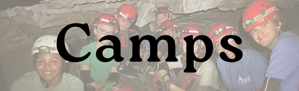 2024 camps banner.png