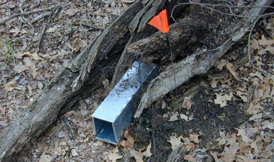 Sherman flag small.jpg