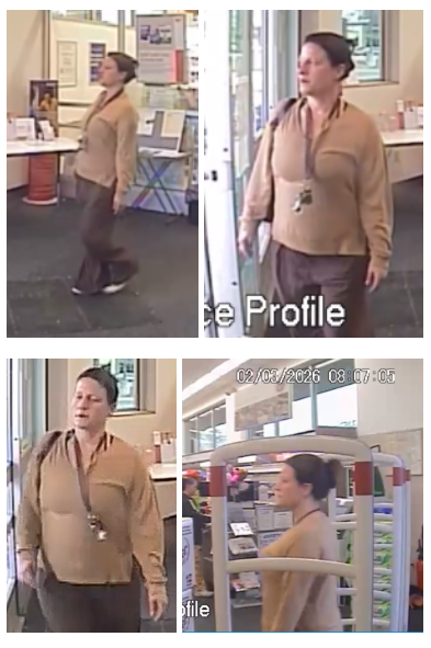credit card abuse suspect photos