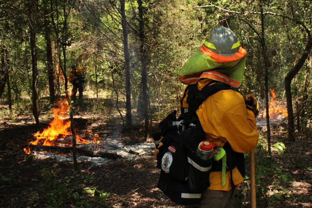 Blunn Crk Pile Burns 6 6 2024 Davis (6).JPG