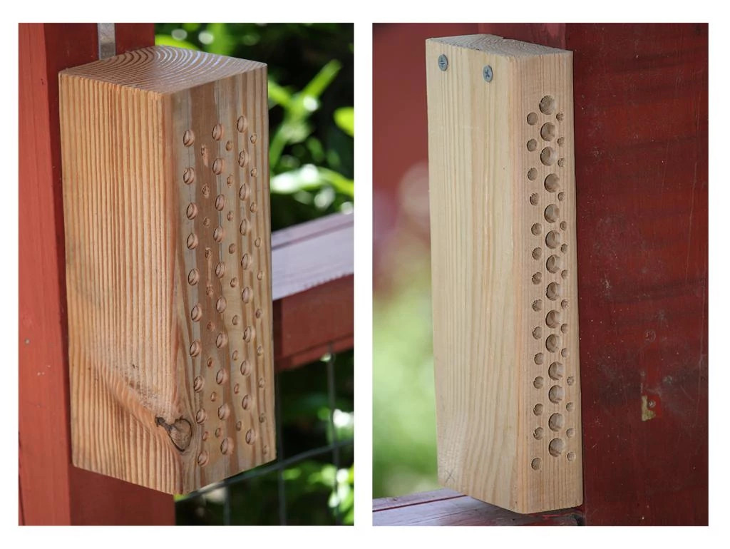 What not to do for bees.jpg