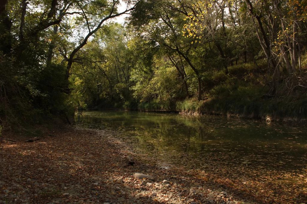 Onion Creek Davis Oct 2022 (2).JPG
