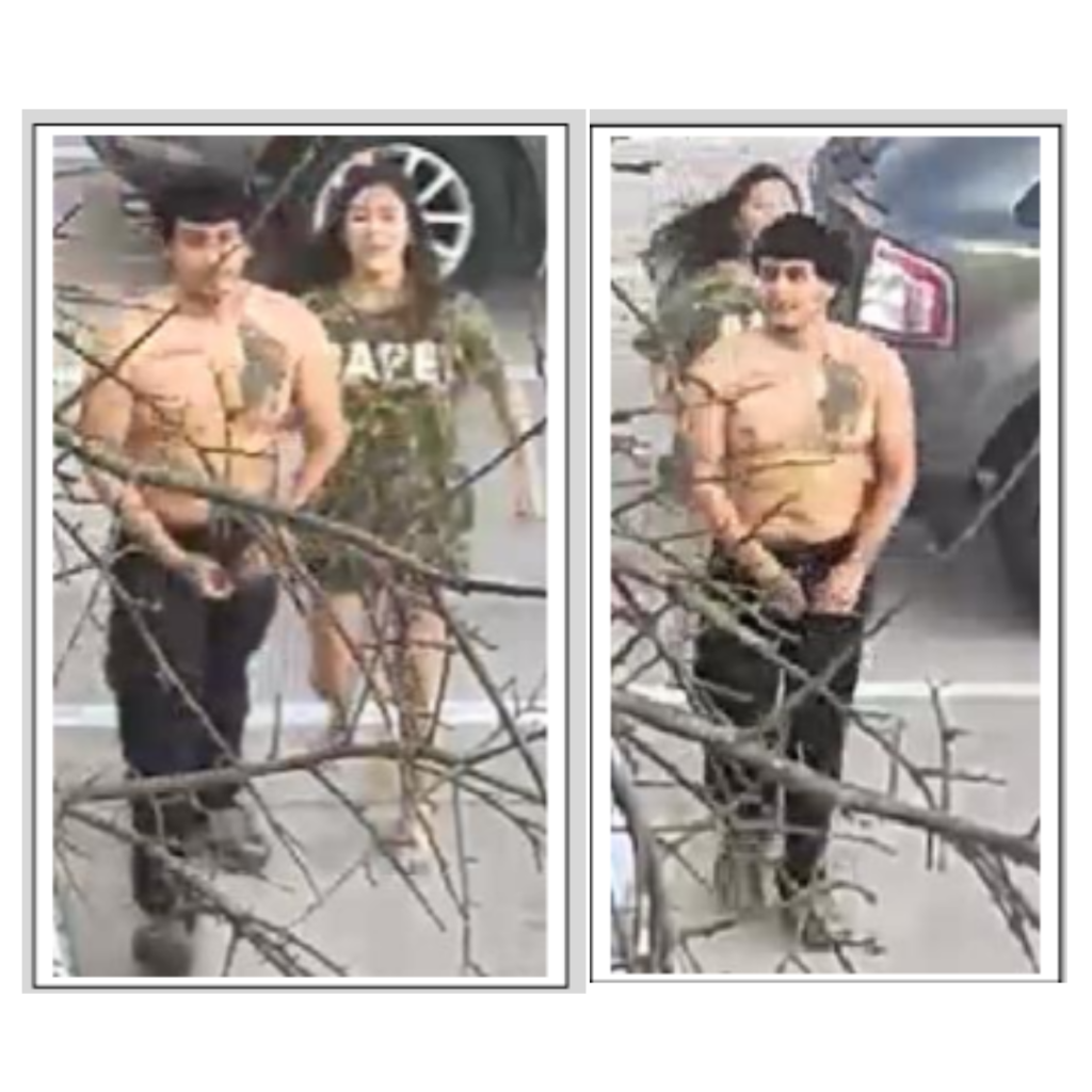 Ben White vehicle theft suspects