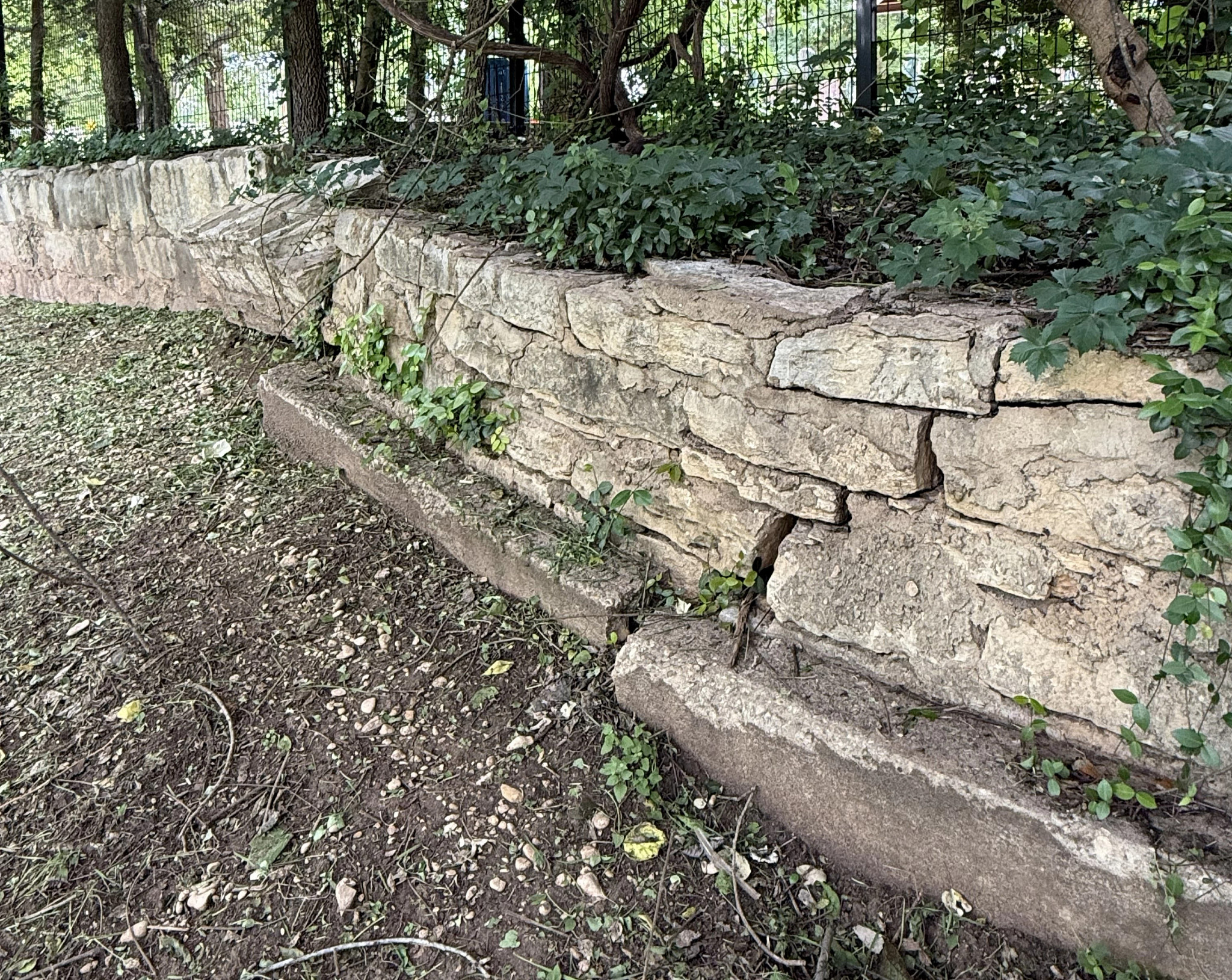 A large crack has formed in the historic retaining wall at Barton Springs Pool