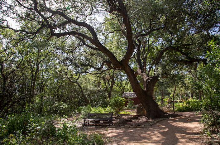 Zilker Botanical Garden