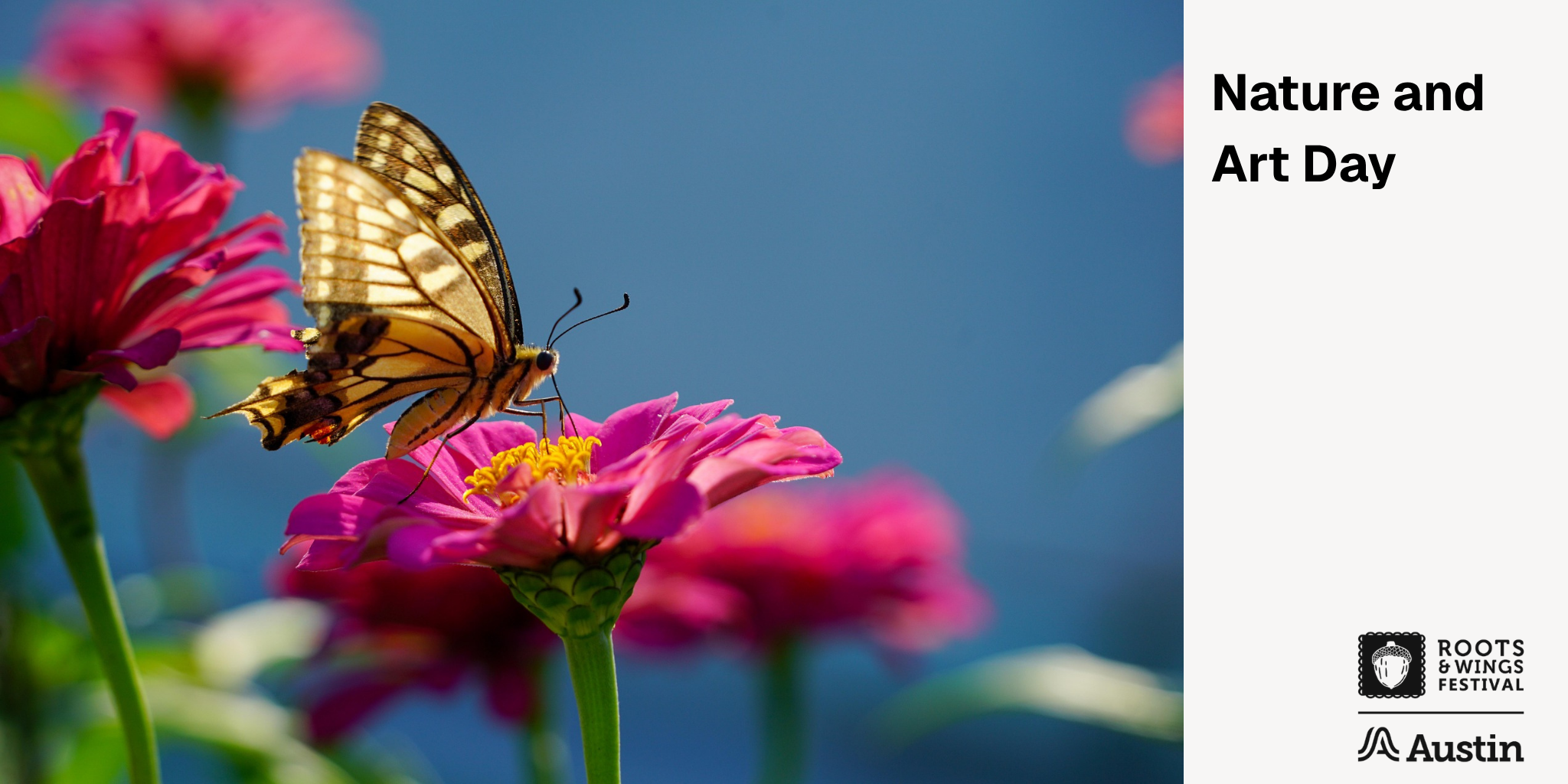 Picture of a butterfly on a pink flower. City of Austin and Roots and Wings logo is in bottom right corner.