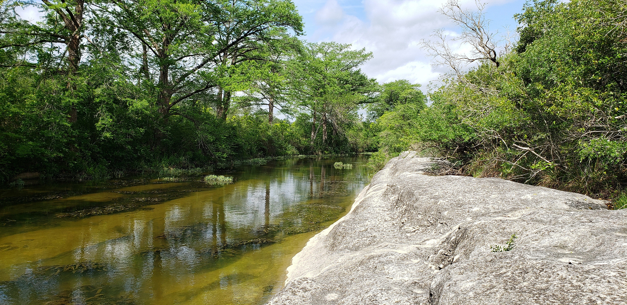 Onion Creek running through Old San Antonio District Park